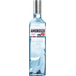 AMUNDSEN OWOCE LEŚNE 700ml