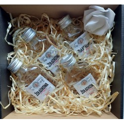 Zestaw prezentowy wódka ŻOŁĄDKOWA 90ml